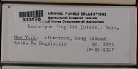 Image Associated With the Occurence